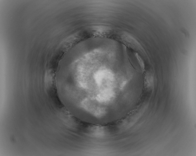 X0000114440276200911061710