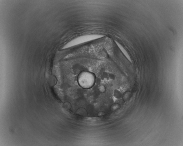 X0000114440277200911061710