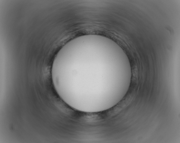 X0000114440278200911061710