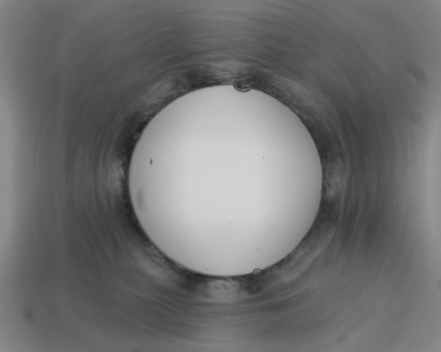 X0000114440279200911061710