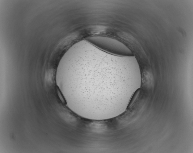 X0000114440280200911061710