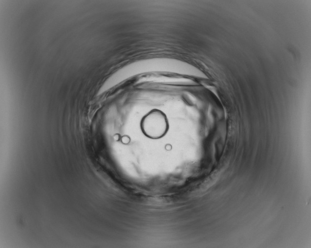 X0000114440281200911061710