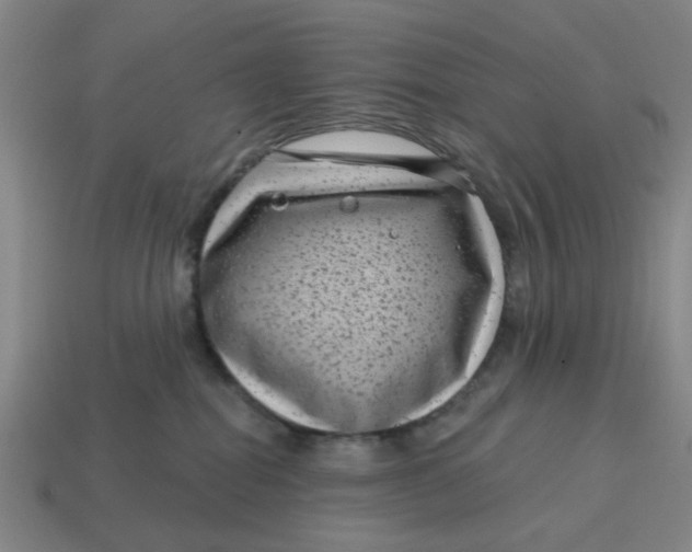 X0000114440282200911061710