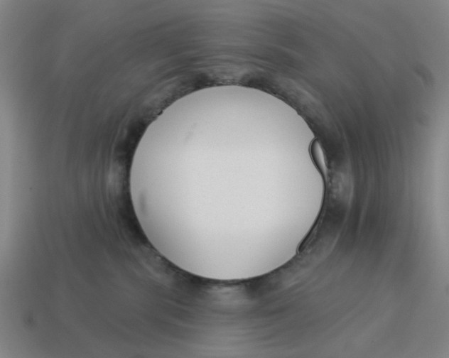 X0000114440283200911061710