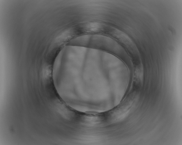 X0000114440284200911061710