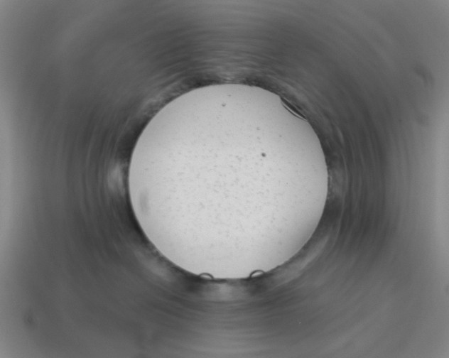 X0000114440286200911061710