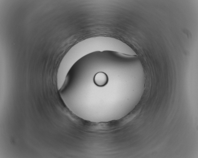 X0000114440288200911061710