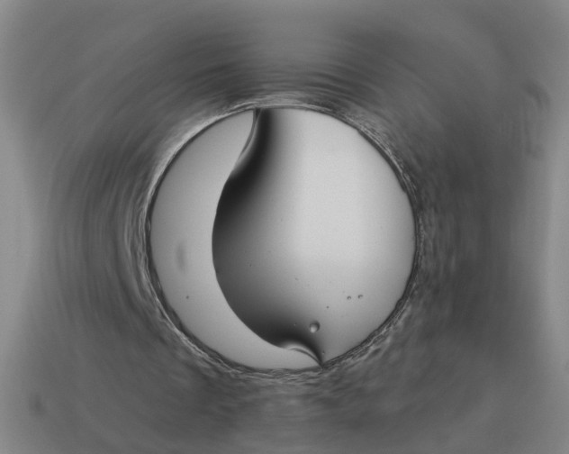 X0000114440289200911061709