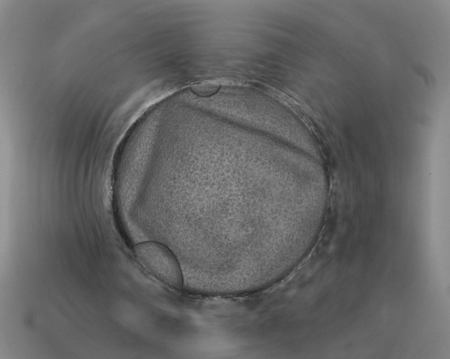 X0000114440290200911061709