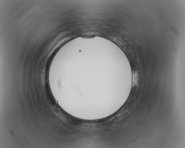 X0000114440291200911061709