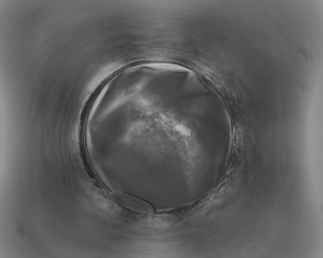 X0000114440292200911061709