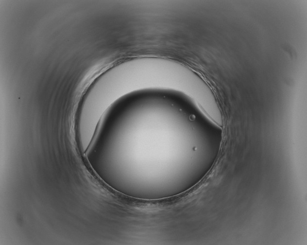 X0000114440293200911061709