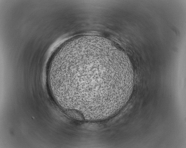 X0000114440294200911061709