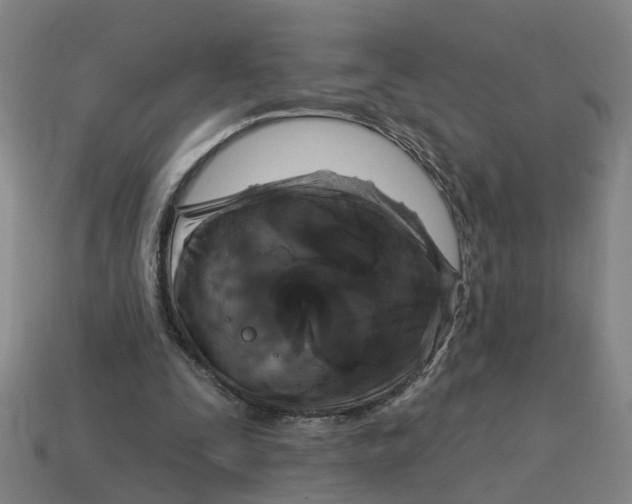 X0000114440295200911061709