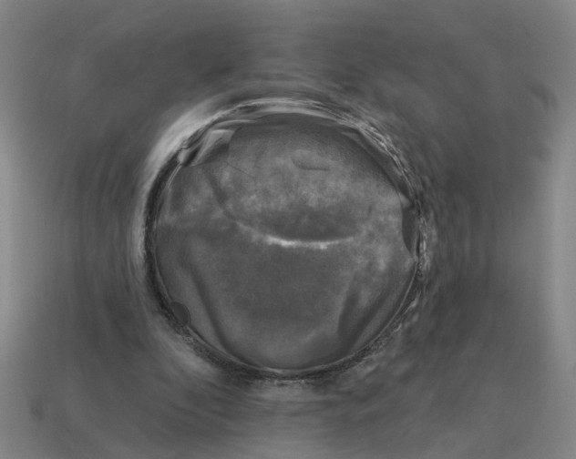 X0000114440296200911061709