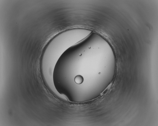 X0000114440297200911061709