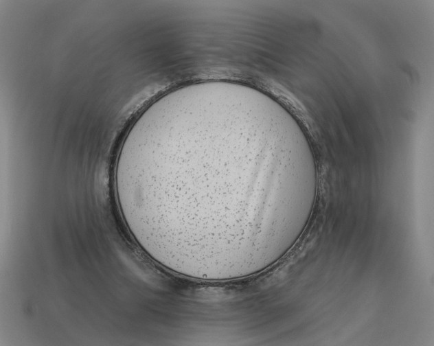 X0000114440298200911061709