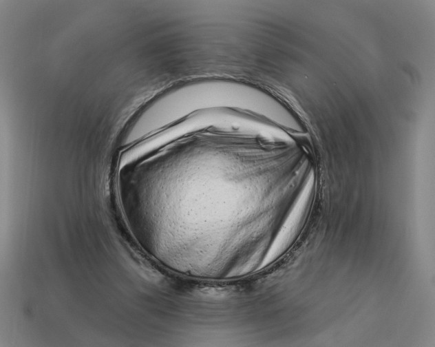 X0000114440299200911061709