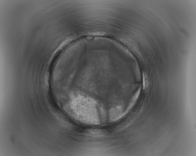 X0000114440300200911061709