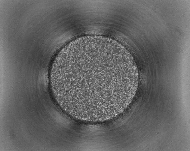 X0000114440302200911061709