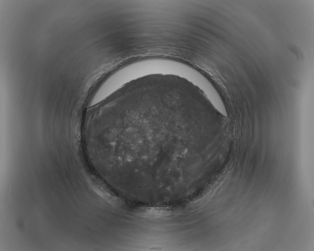 X0000114440303200911061709