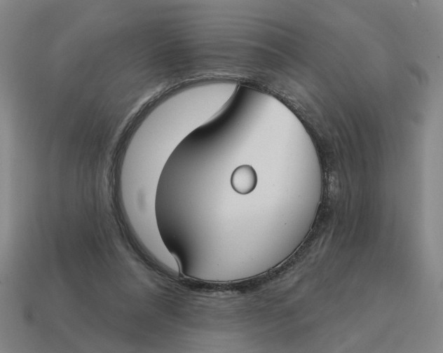 X0000114440304200911061709