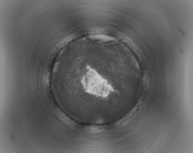 X0000114440305200911061709