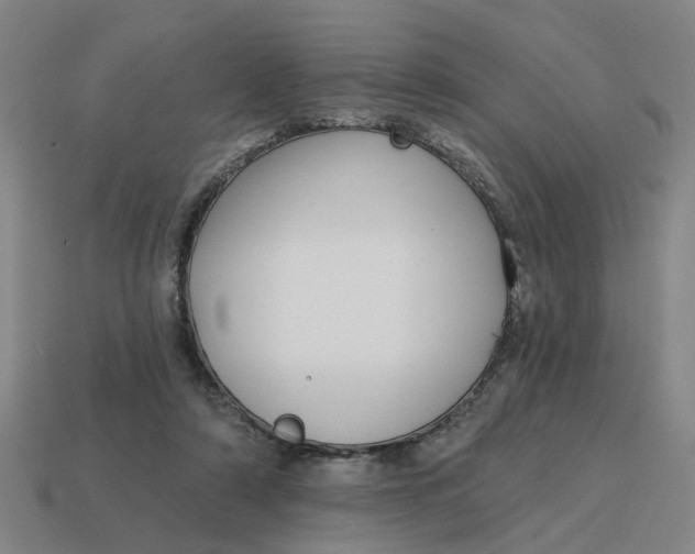 X0000114440306200911061709