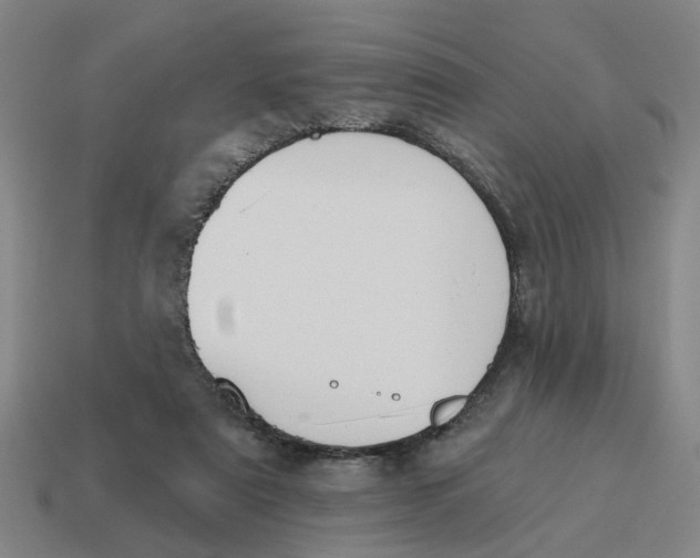 X0000114440307200911061709