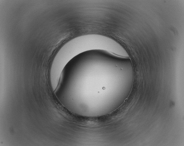 X0000114440308200911061709