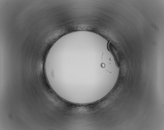 X0000114440310200911061709