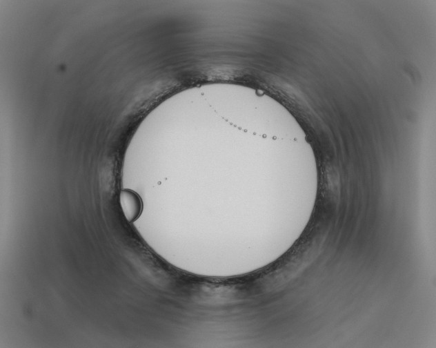 X0000114440311200911061709