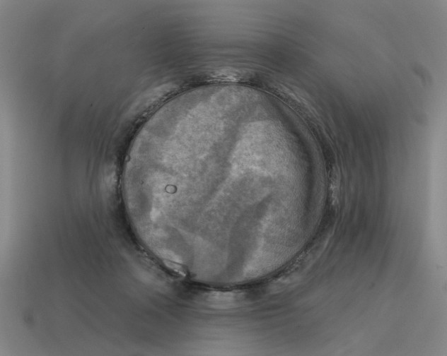 X0000114440314200911061709