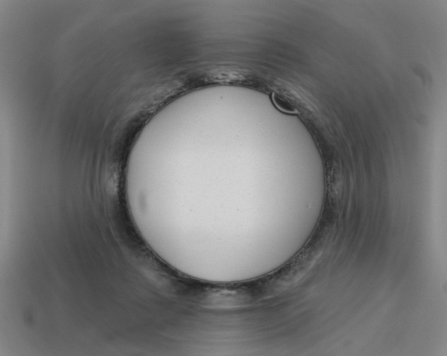 X0000114440315200911061709