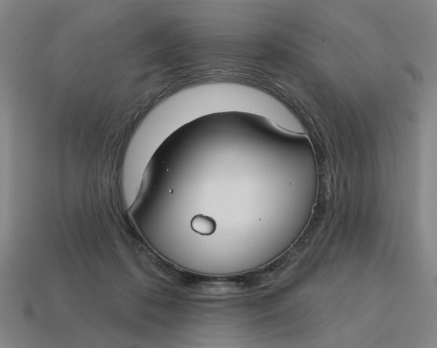 X0000114440316200911061709