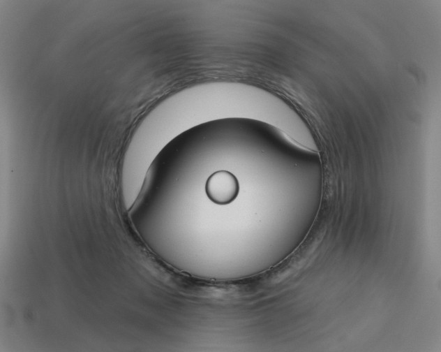 X0000114440317200911061709