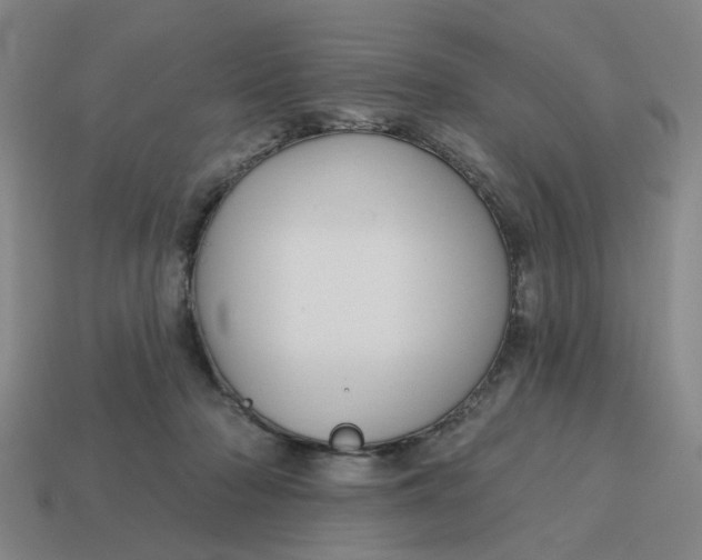 X0000114440318200911061709