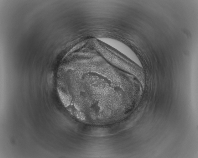 X0000114440319200911061709