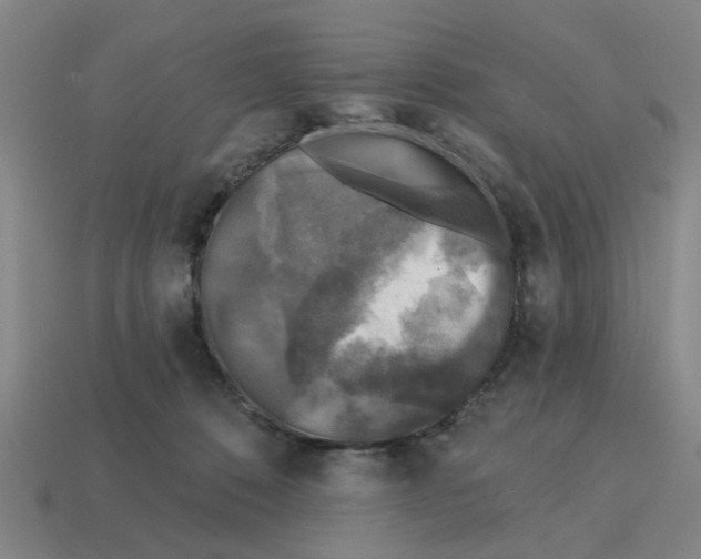 X0000114440320200911061709