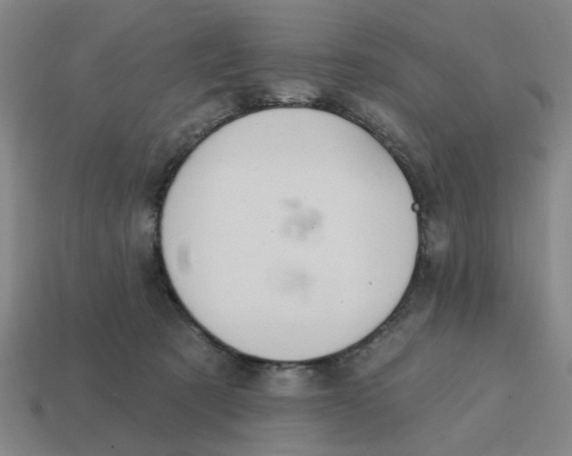 X0000114440321200911061709