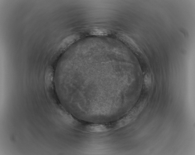 X0000114440322200911061709