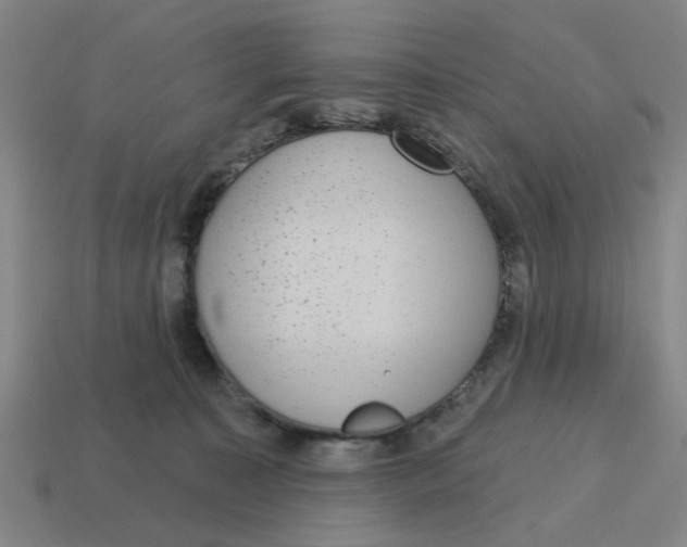 X0000114440323200911061709