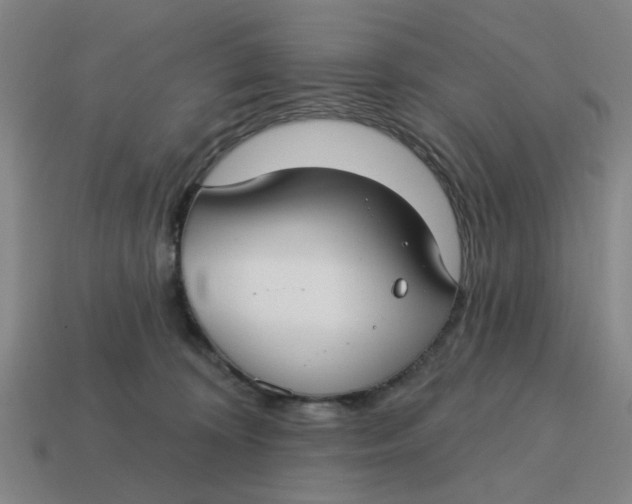 X0000114440324200911061709