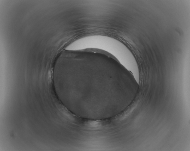 X0000114440325200911061709