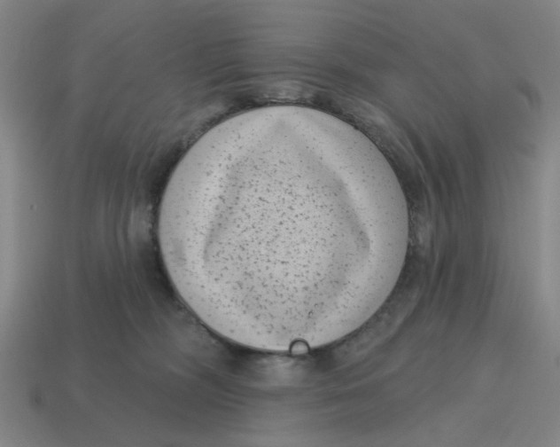 X0000114440326200911061709