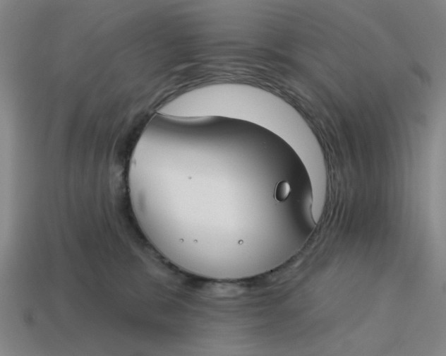 X0000114440327200911061709