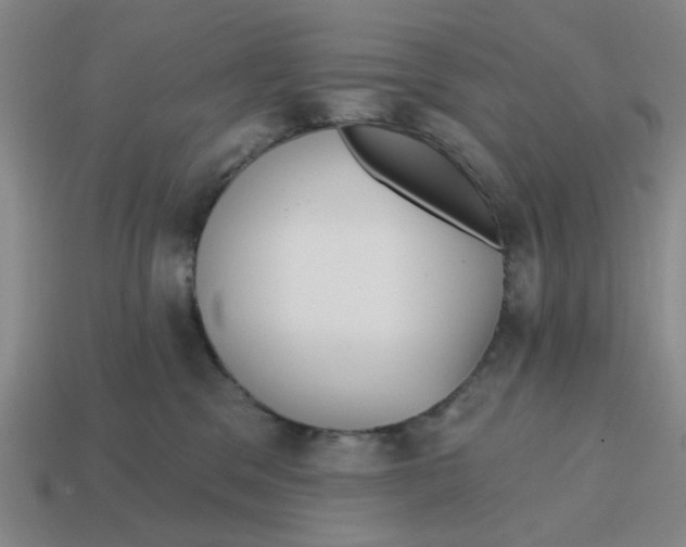 X0000114440329200911061709