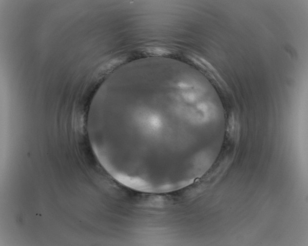 X0000114440330200911061709