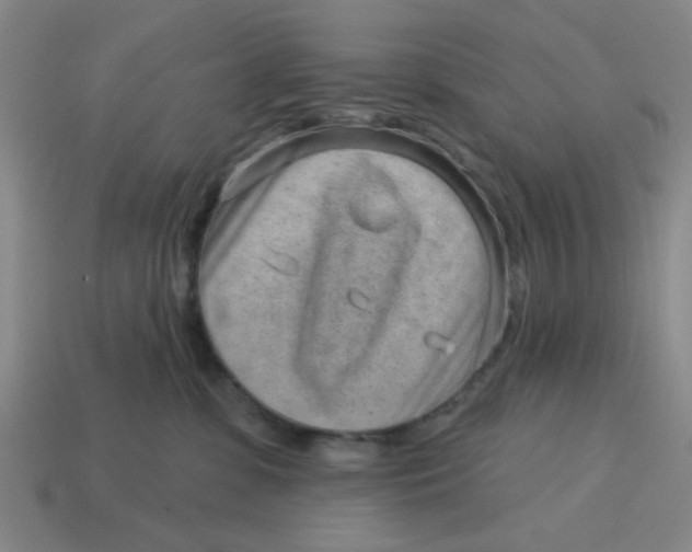 X0000114440331200911061709