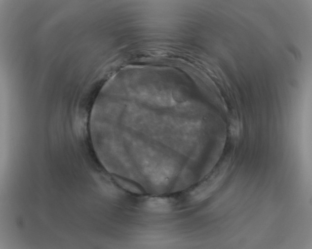 X0000114440332200911061709